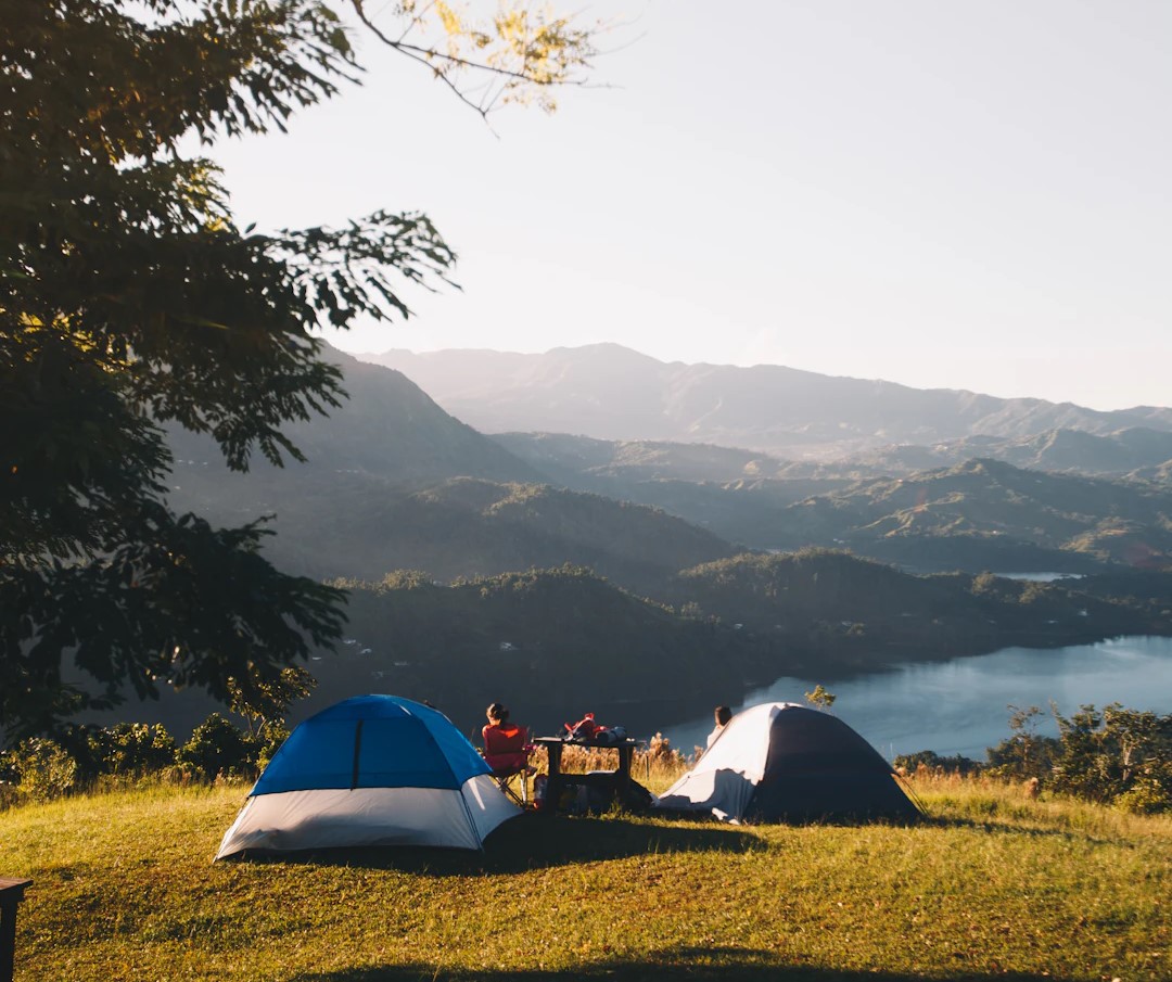 photo-1576176539998-0237d1ac6a85